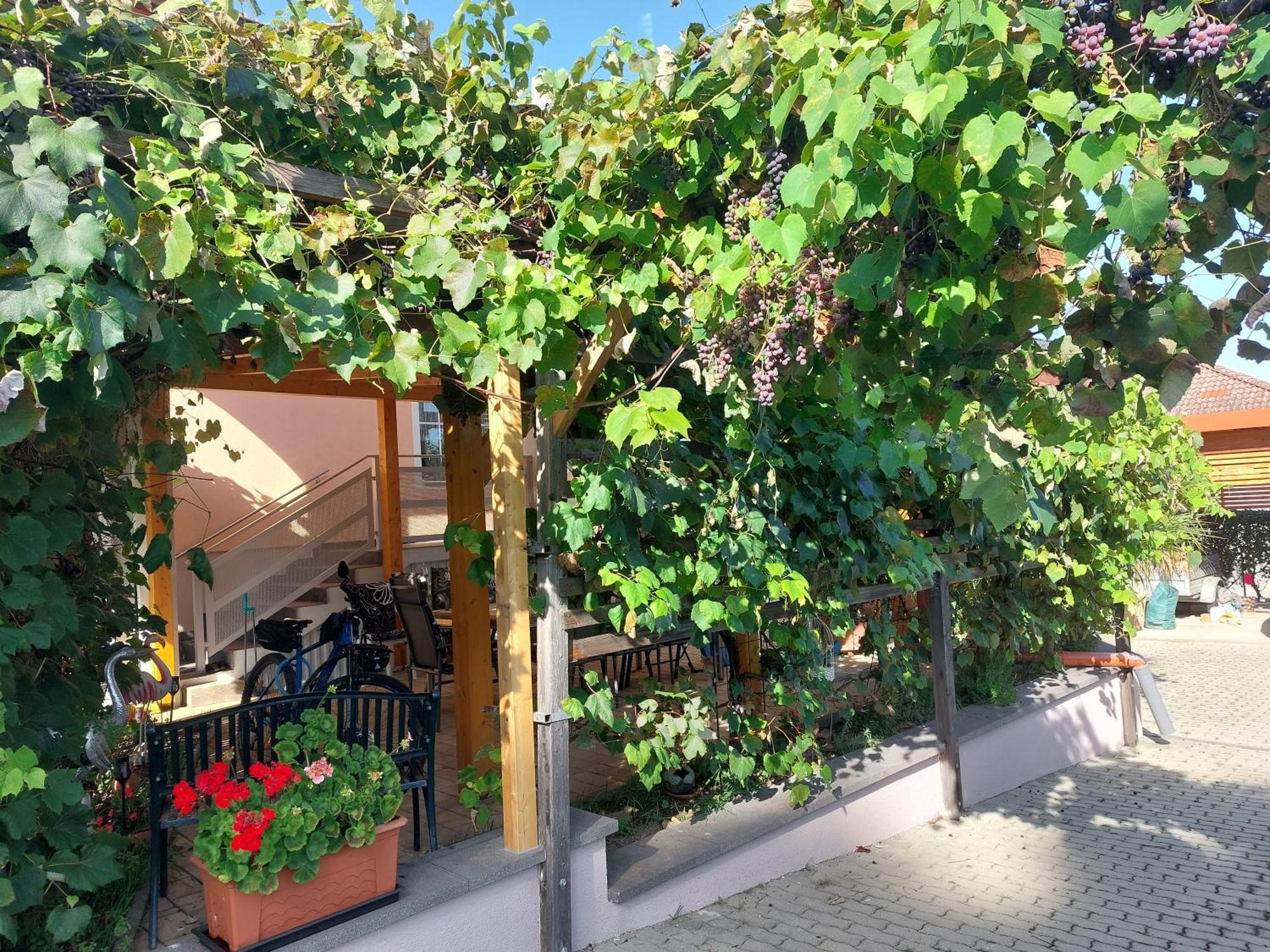 Ferienwohnung Gerti Pinkafeld Exterior foto
